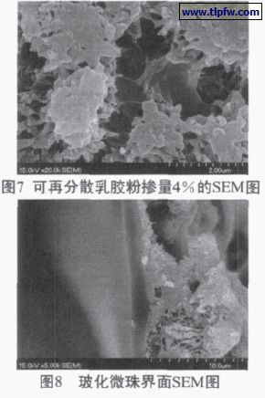 可再分散乳膠粉（fěn）摻量百分（fèn）之4的SEM圖